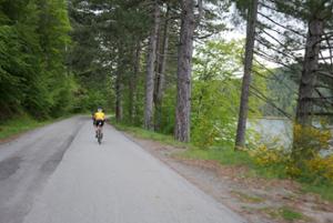 Escursione in e-bike nel Parco Nazionale della Sila