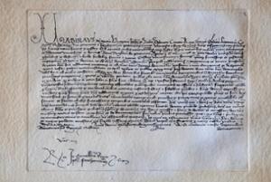 Biblioteche Comunali