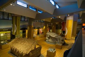 Museo del Paleolitico