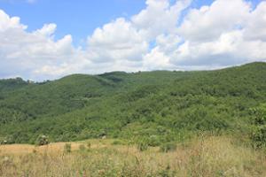 Bosco Sant'Angelo Limosano - San Biase