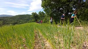 sentieri casalciprano