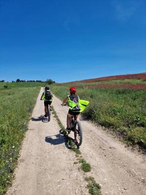 Ebike tours