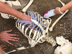 Dedalo - archeologia e cultura