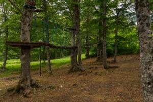 Parco Avventura