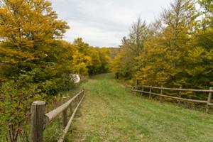 Parco Avventura capracotta