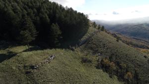 Civita di Duronia - Mura