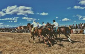Palio delle Quercigliole
