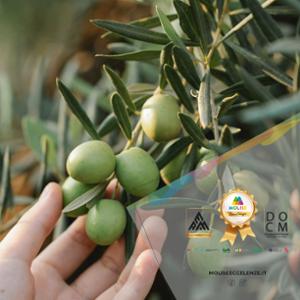 Molise Eccellenze