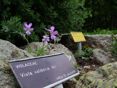 JARDIN BOTANIQUE VALDERIA