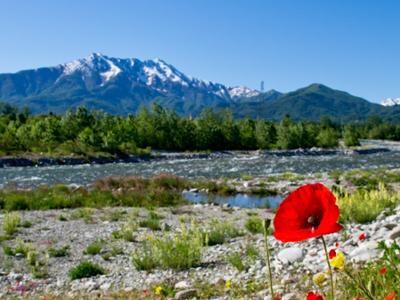 PARC FLUVIAL GESSO ET STURA