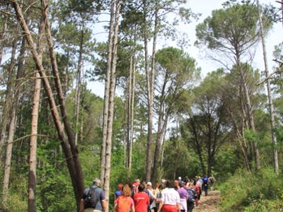 Isernia - Castelpetroso (Santuario Madonna dell’Addolorata)