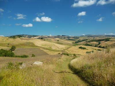 Tratturo nei pressi di Sant'Elia a Pianisi (CB)