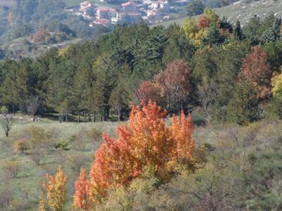 Borgo di San Angelo in Grotte