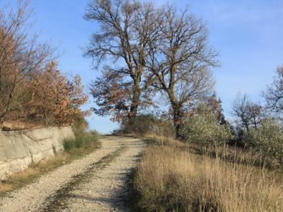 Lungo il tracciato fra Macchiagodena e S. Elena Sannita