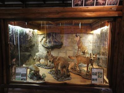Museo delle tradizioni locali e della civiltà contadina