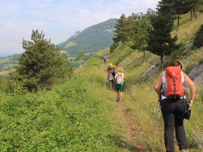 Lungo il tracciato erboso sul versante di monte Ingotte nei pressi di Carovilli