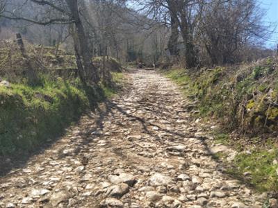 mulattiera_per_venafro