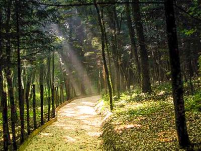 Riserva Naturale Orientata di Montedimezzo