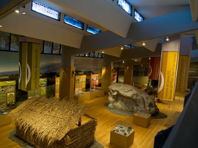 Museo del Paleolitico