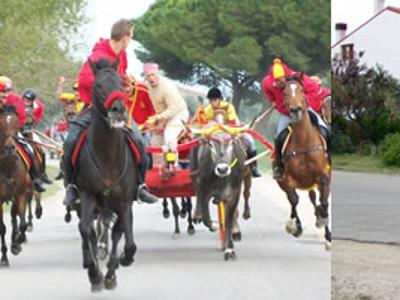 Carrese di Portocannone