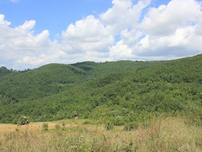 Bosco Sant'Angelo Limosano - San Biase