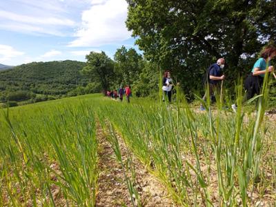 sentieri casalciprano