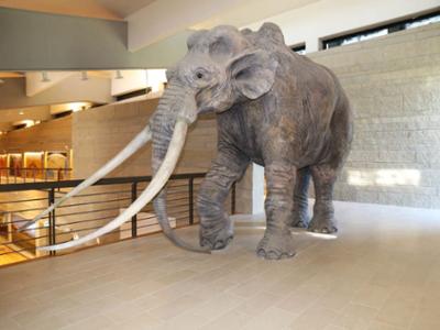 Museo nazionale del Paleolitico di Isernia