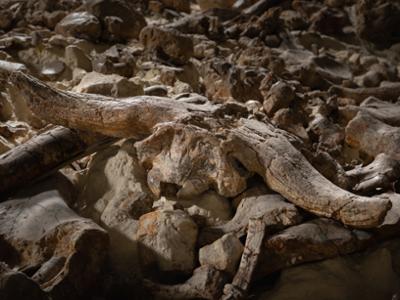 Museo nazionale del Paleolitico di Isernia
