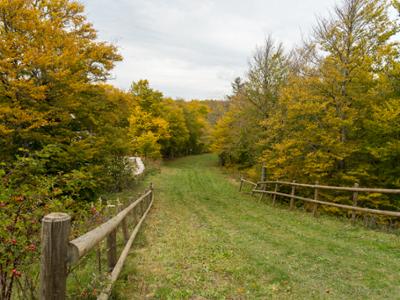 Parco Avventura capracotta