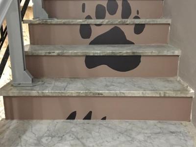 Museo dell'Orso Marsicano