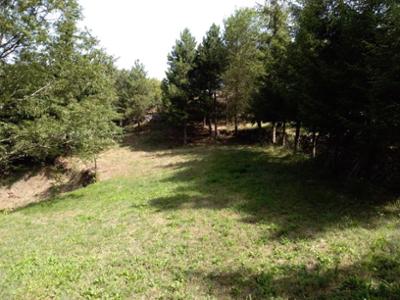 Area Attrezzata Valle Atenza
