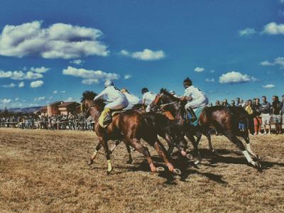 Palio delle Quercigliole