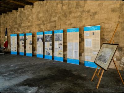 Mostra del culto di San Nicola