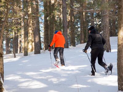 Escursione con le ciaspole in Sila