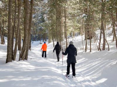 Escursione con le ciaspole in Sila