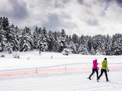 Escursione di snow trekking in Sila