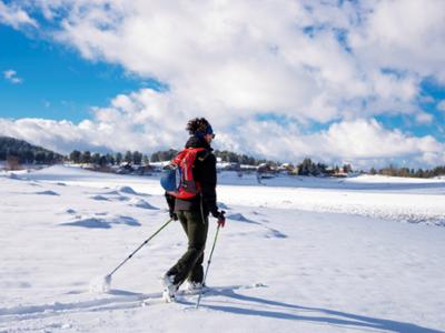 Escursione di snow trekking in Sila