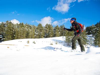Escursione di snow trekking in Sila