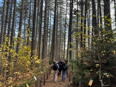 Centro Visite Garcea