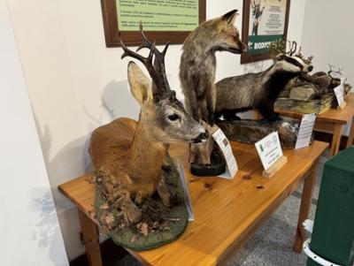 Centro Visite Garcea