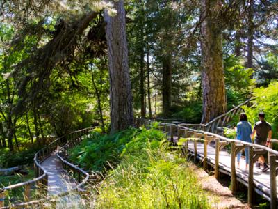 Riserva Giganti della Sila