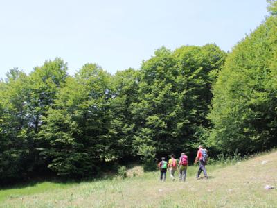 Trekking e natura Sila