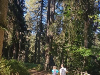 Arboreto del Parco