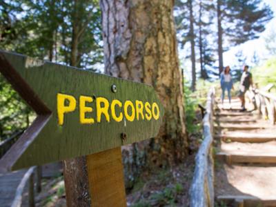 Riserva Giganti della Sila