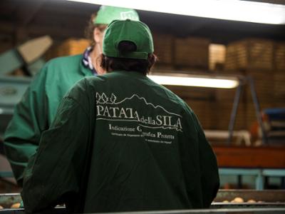 Patata della Sila IGP