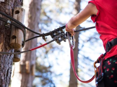 Parchi Avventura in Sila