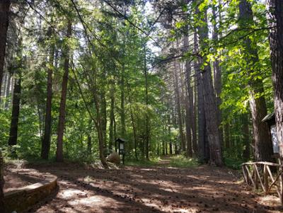 Arboreto del Parco