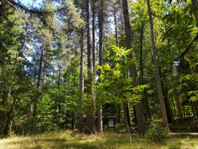 Arboreto del Parco
