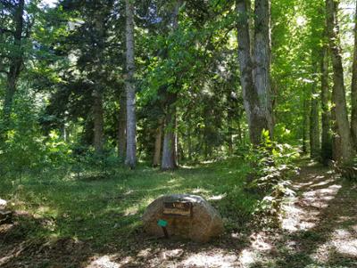 Arboreto del Parco