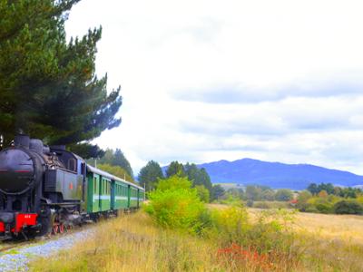 Treno Storico della Sila